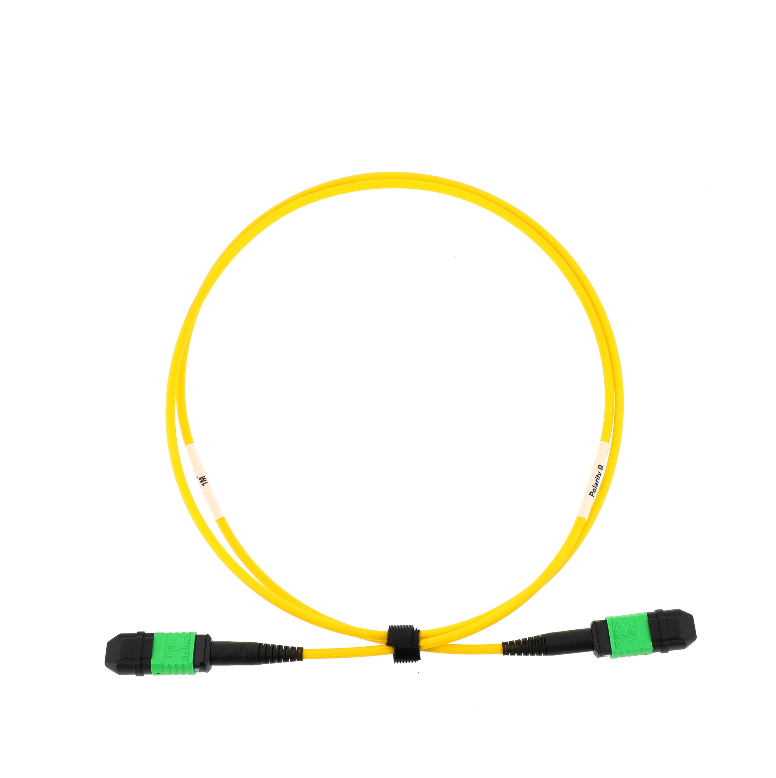 Patchcord 24F SMG652D MPO Female Low loss MPO Female Low loss 7m LSOH Cca 3mm, B